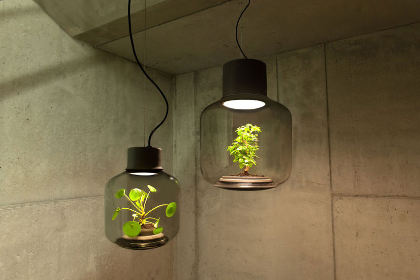 La lámpara que crea un ecosistema autosuficiente