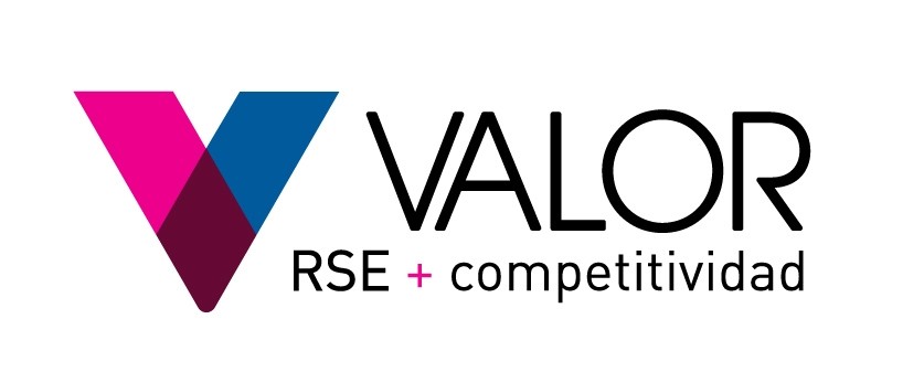 VALOR - Logo