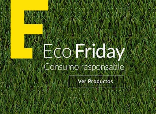 Ecofriday: una iniciativa para el desarrollo sustentable