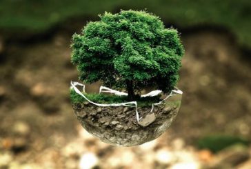 Bonos Verdes: el gran valor de invertir en proyectos sustentables