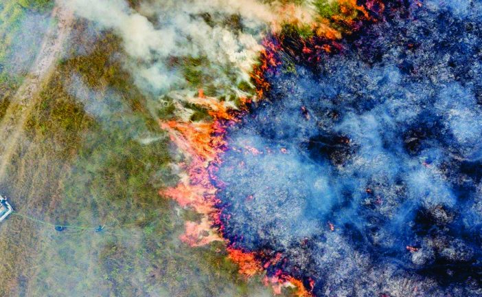 Incendios en el litoral: fuego, cenizas y pérdidas millonarias